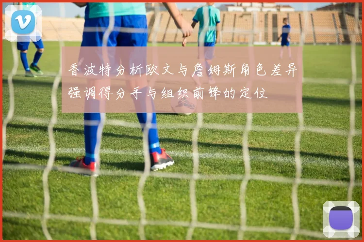 香波特分析欧文与詹姆斯角色差异强调得分手与组织前锋的定位