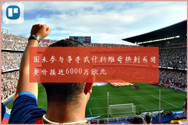 国米参与争夺武什科维奇热刺或将要价接近6000万欧元