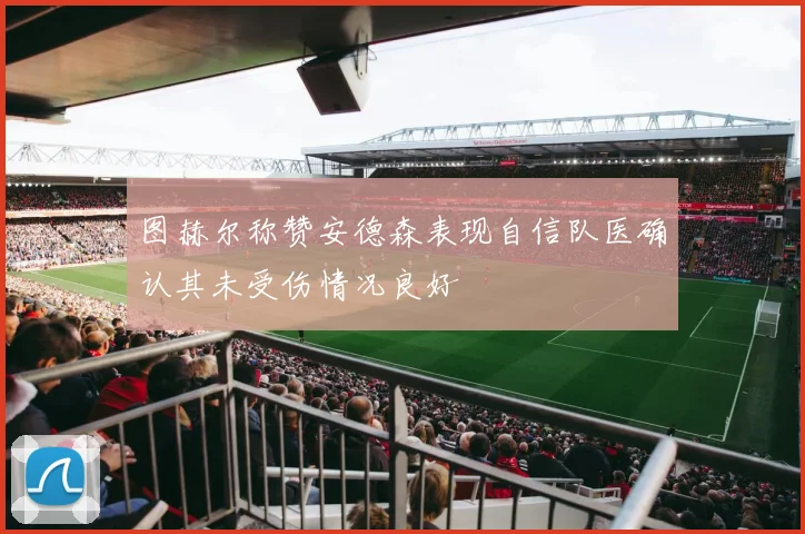 图赫尔称赞安德森表现自信队医确认其未受伤情况良好